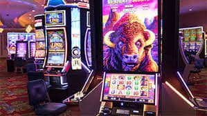 mgm bet